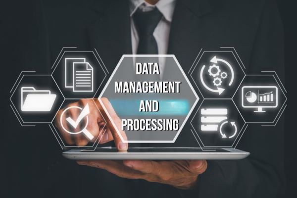 Data Management and Processing